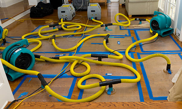 Professional Burst Pipe Water Damage technician working in North Chelmsford, MA